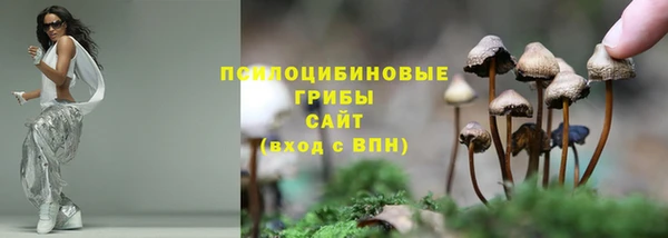 эйфоретик Алексин