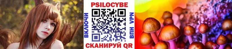 купить  цена  Могоча  Псилоцибиновые грибы прущие грибы 